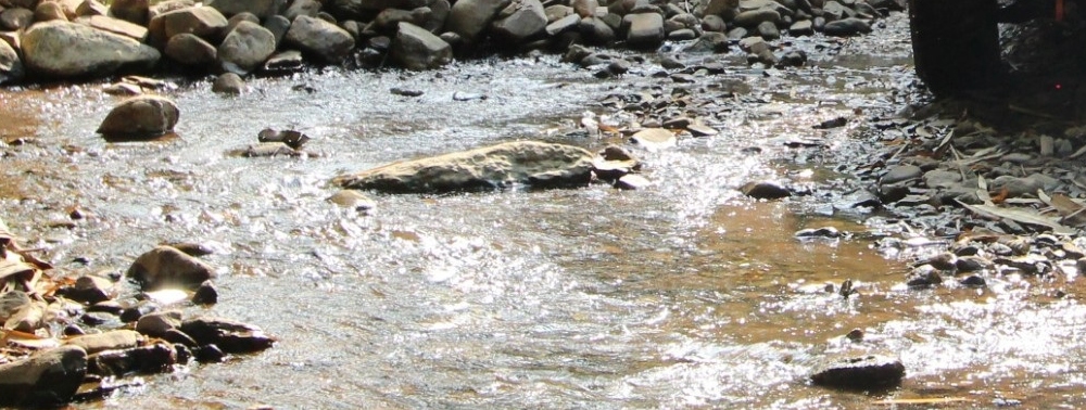 Alabama Gold Prospecting , Gold Mining,Creek Gold, River Gold in Alabama